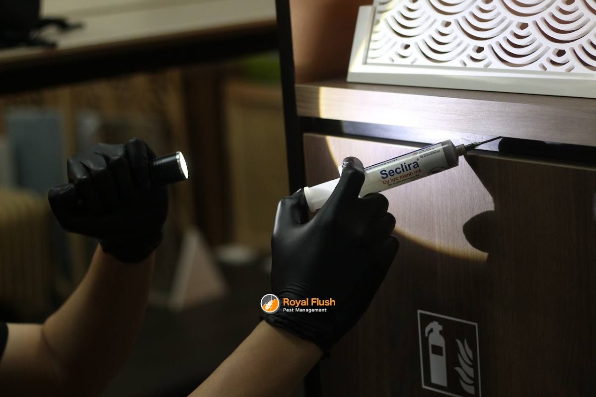 Gel bait applied along a cabinet seam by flashlight