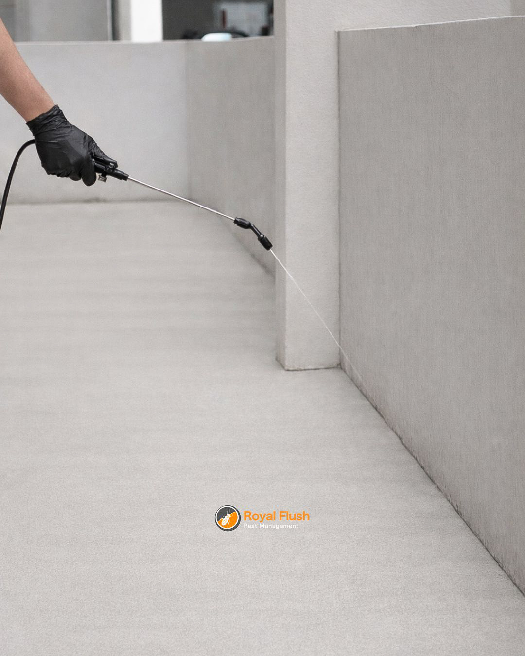 Perimeter spraying along a wall and floor line